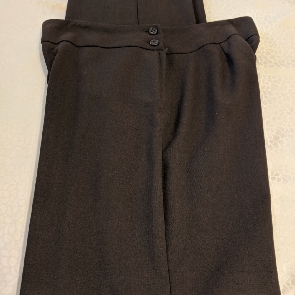 The Limited Stretch women long pants size 6L